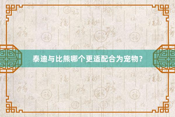 泰迪与比熊哪个更适配合为宠物？